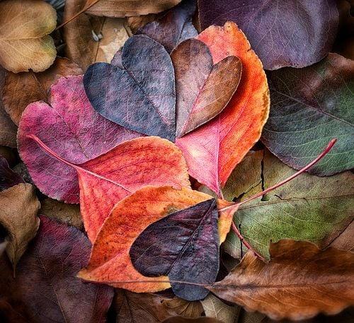 Naturopathie – C’est la rentrée, le bon moment pour faire une détox!