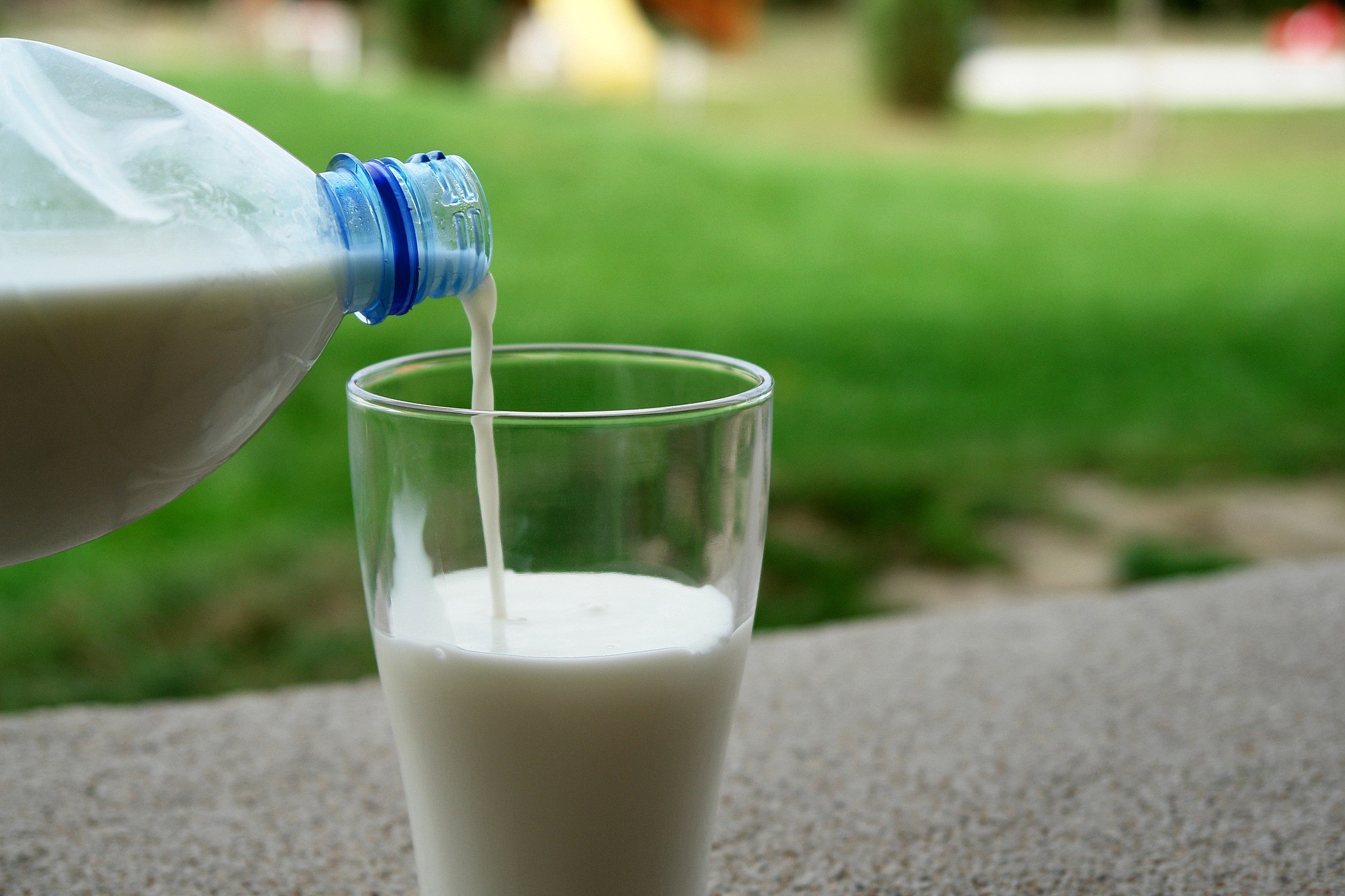 Intolérance au lactose ou à la protéine de lait ?